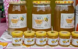 Rock Symfonicznie &ndash; muzyczna rewolucja w Brzegu Dolnym	 27