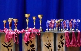 50. Międzynarodowy Turniej Gimnastyki Artystycznej o Puchar Burmistrza Brzegu Dolnego &bdquo;Brzeg Dolny Cup&rdquo; 5