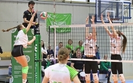Zesp&oacute;ł Juniorek młodszych Volley Wrocław