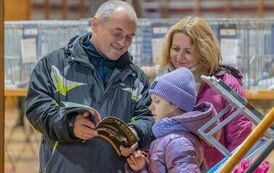 32. Regionalna Wystawa Gołębi Rasowych i Drobnego Inwentarza 26