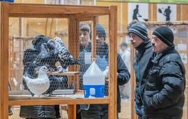 32. Regionalna Wystawa Gołębi Rasowych i Drobnego Inwentarza 28