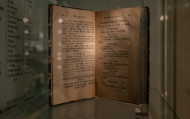 Bardzo kulturalna wycieczka 19