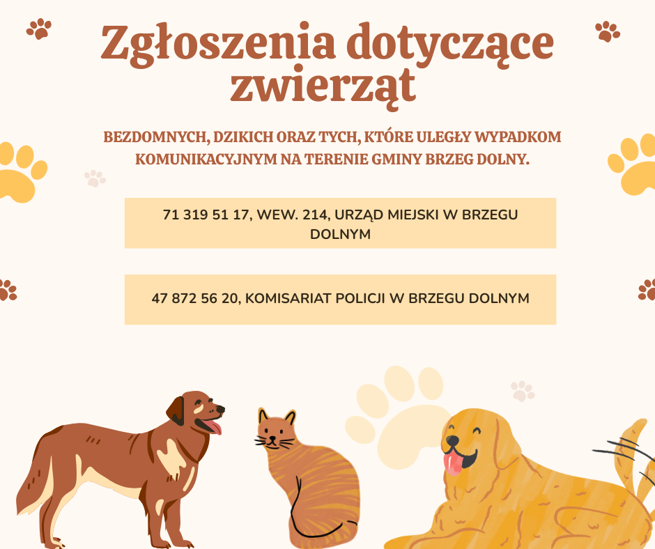 Grafika dotycząca zgłoszeń nt. zwierząt