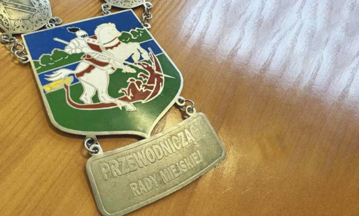 Zdjęcie do XVI Sesja Rady Miejskiej w Brzegu Dolnym. Transmisja