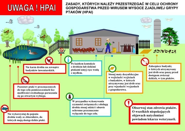 Zdjęcie do Ochrona drobiu przed wirusami HPAI oraz ND