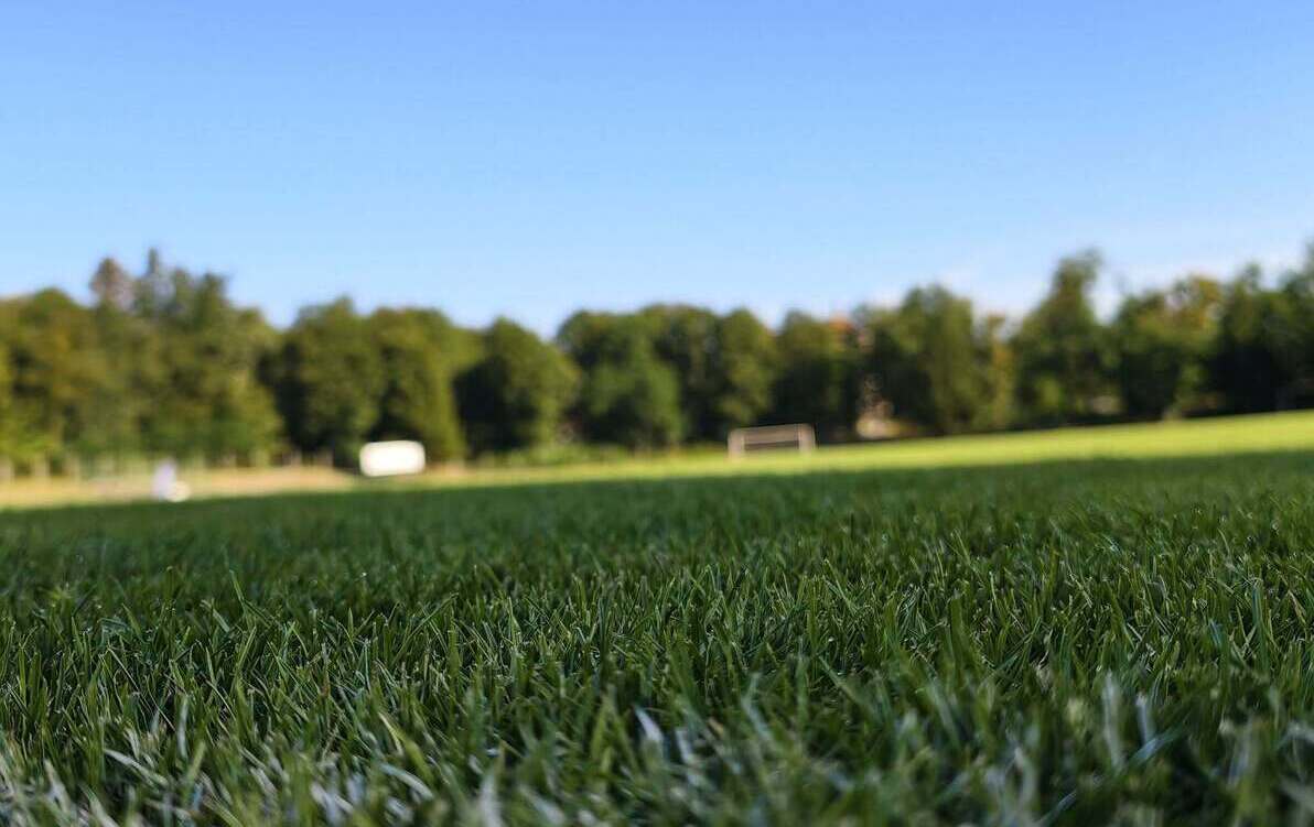 Zdjęcie do Stadion Miejski gotowy na nowy sezon!