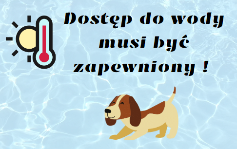 Zdjęcie do Zbliża się lato &ndash; pamiętajmy o naszych pupilach