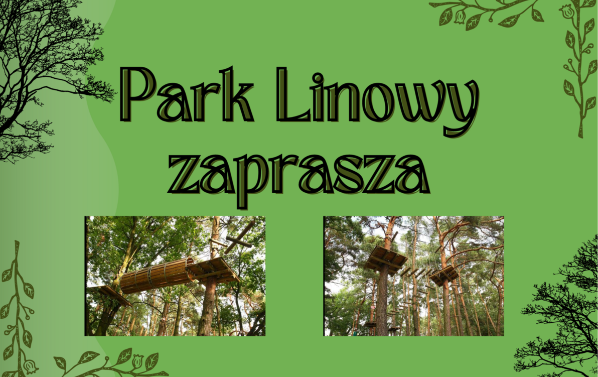 Zdjęcie do Przygoda wśr&oacute;d drzew w parku linowym
