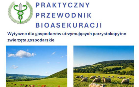 Zdjęcie do Wytyczne dla gospodarstw utrzymujących parzystokopytne zwierzęta gospodarskie
