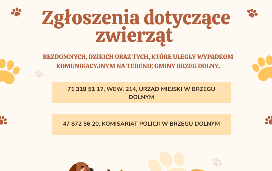 Zdjęcie do Zgłoszenia dotyczące zwierząt na terenie Gminy Brzeg Dolny