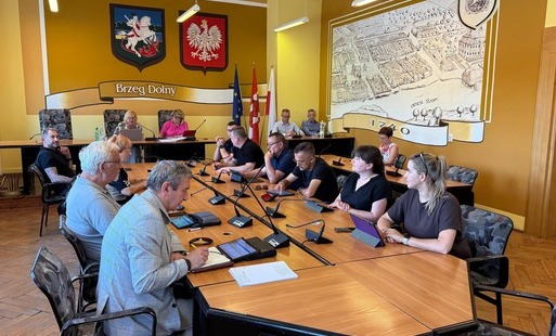 XXIX Sesja Rady Miejskiej w Brzegu Dolnym: Pomoc rzeczowa dla Powiatu Wołowskiego na dokumentację projektową dróg